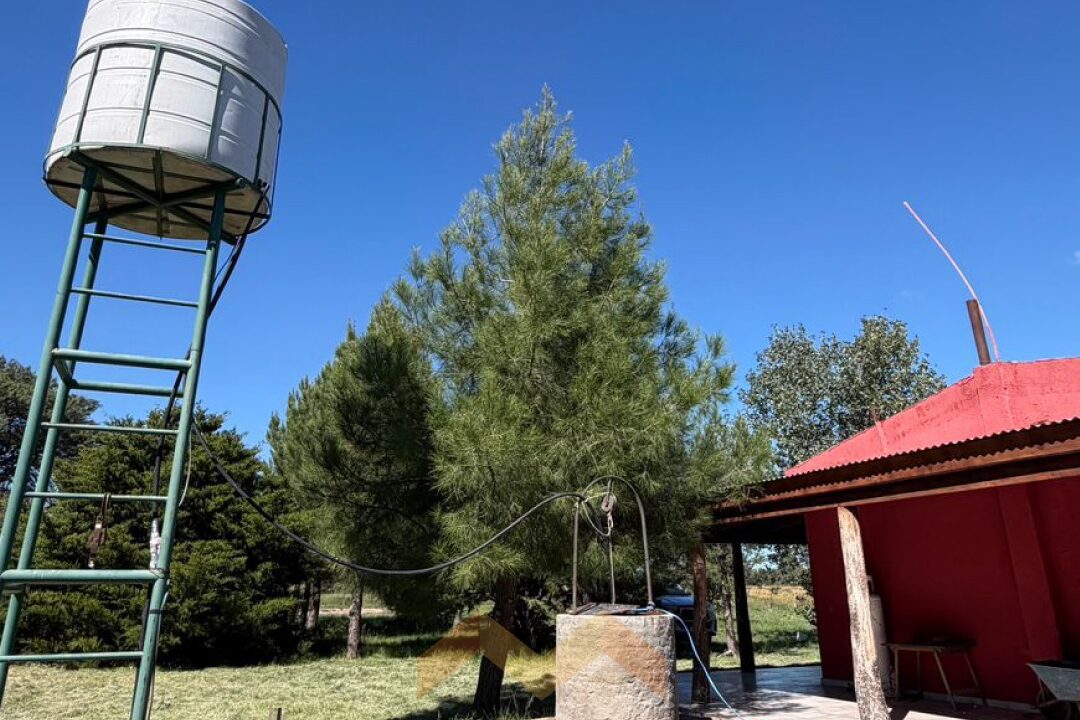 WhatsApp Image 2026-04-14 at 11.07.28 (1)