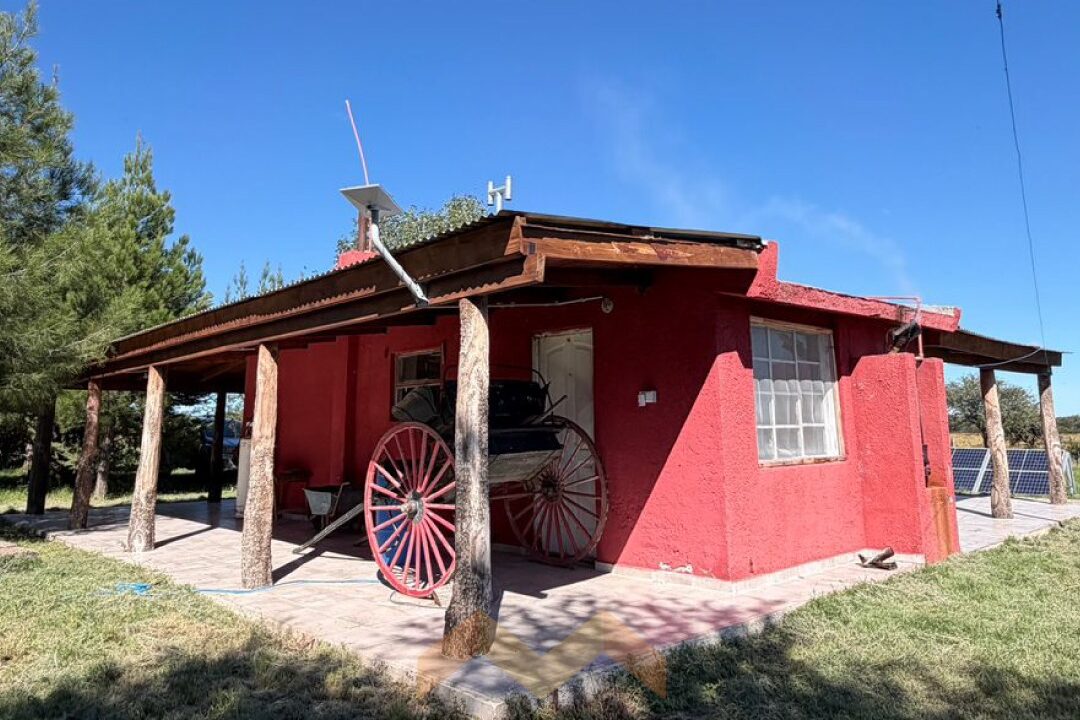 WhatsApp Image 2026-04-14 at 11.07.29 (1)