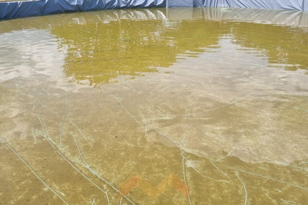 WhatsApp Image 2026-04-14 at 11.07.30