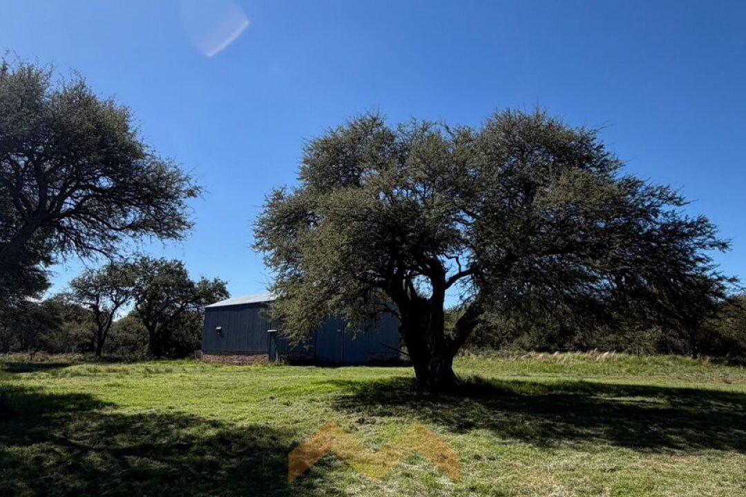 WhatsApp Image 2026-04-14 at 11.07.31 (1)