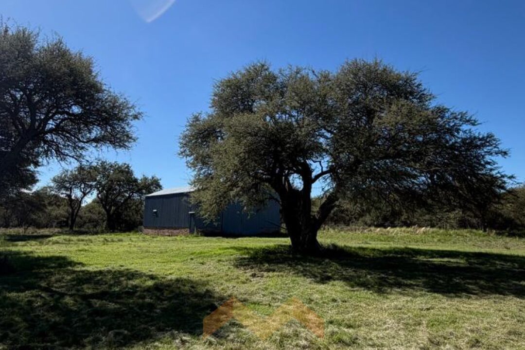 WhatsApp Image 2026-04-14 at 11.07.32