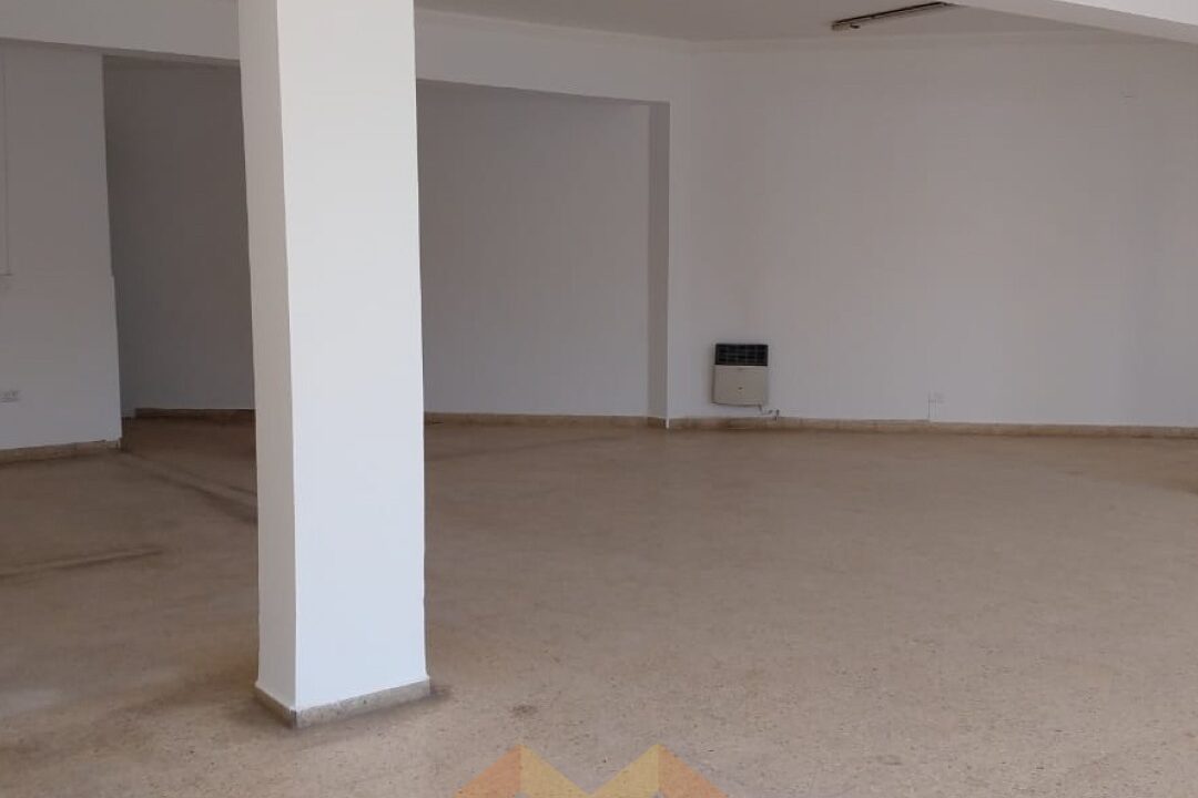 WhatsApp Image 2026-04-23 at 11.33.56