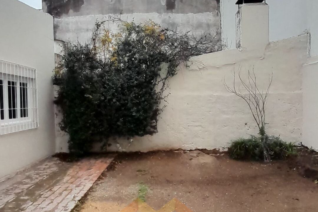 WhatsApp Image 2026-06-08 at 16.43.43